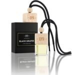 Kabinamas stiklinis oro gaiviklis