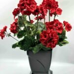 Sunkus dirbtinis pelargonijos vazonas