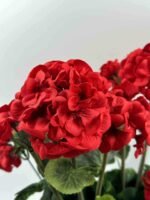Sunkus dirbtinis pelargonijos vazonas - Image 10