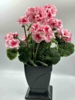 Sunkus dirbtinis pelargonijos vazonas - Image 7