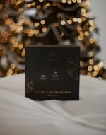 Rinkinys: Automobilių gaiviklis į groteles (Žiemos kolekcija) - Image 2