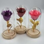 Gelė su LED gaubte 2