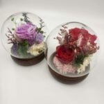 Miegančios gėlės gaubte